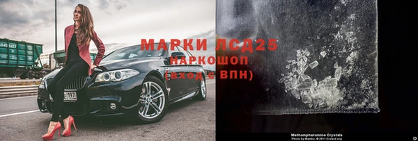 дмт Бородино