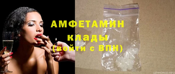 дмт Бородино