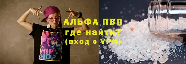 дмт Бородино