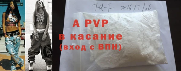 СК Бронницы