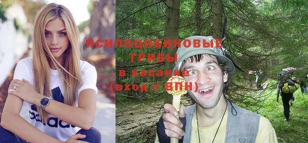 СК Бронницы