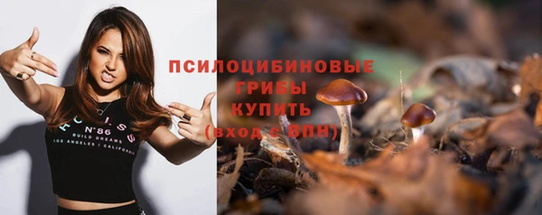 дмт Бородино