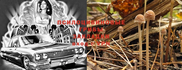 винт Бугульма