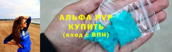 дмт Бородино