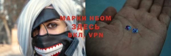 СК Бронницы