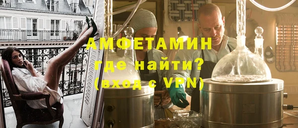 дмт Бородино