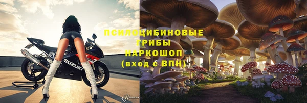 СК Бронницы
