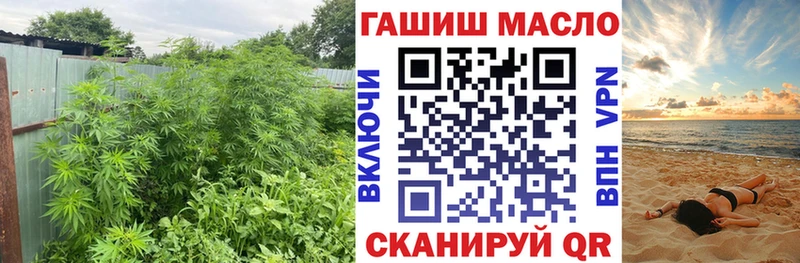 цена наркотик  Буинск  ТГК концентрат 
